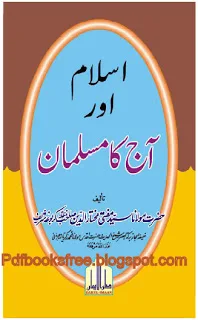 Islam Aur Aaj Ka Musalman eBook