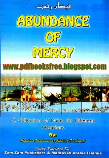 Image for Abundance of Mercy pdf