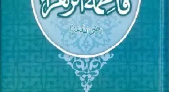 Seerat Syeda Tun Nisa by Maulana Zulqarnain Attari