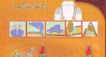 Aao Namaz Seekhen By Maulana Syed Minhaj-ul-Haq