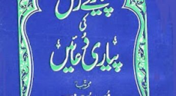 Pyare Rasul s.a.w Ki Pyari Duayen By Muhammad Atta Ullah Hanif