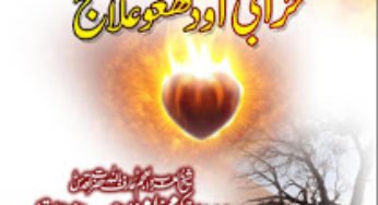 Da Bad Nazri Ao Ishqe Majazi Kharabi Ao Da Hagho Ilaj By Maulan Shah Hakeem Muhammad Akhtar