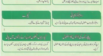 How to Prevent Dengue Fever? Learn in Urdu