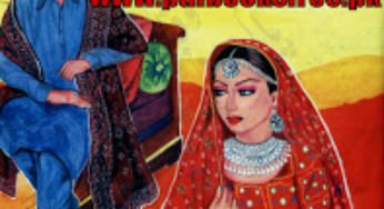 Novel Gardish By Dr Abdur Rab Bhatti