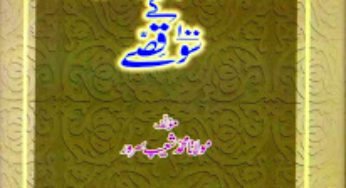 Hazrat Umar bin Abdul Aziz (r.a) Kay 100 Qissya By Maulana Muhammad Shuaib Sarwar