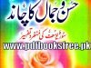 Husn o Jamal Ka Chand By Hafiz Muhammad Abdul Aala