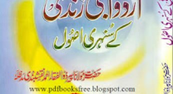 Misali Azdawaji Zindagi Key Sunehri Usool Book By Maulana Zulfiqar Ahmad Naqshbandi