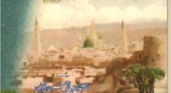 Mojizaat e Rasul e Karim sallallahu alayhi Wasallam By Allama Abdur Rahim Khan Qadri