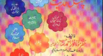 Parda-e-Sharee By Noor Ahmad