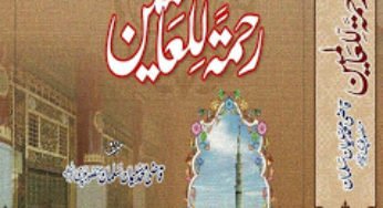 Rahmatul lil Aalamin By Qazi Muhammad Suleman Salman Mansoor Puri