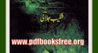 Roshni Ae Roshni Urdu Poetry Book By Shakeeb Jalali