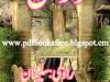 Solomon A Novel By Aslam Raza