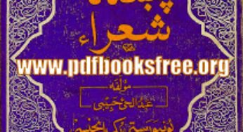 Pukhtana Shura A Biography By Abdul Hai Habibi